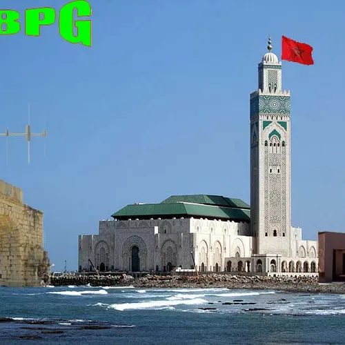 CN8PG