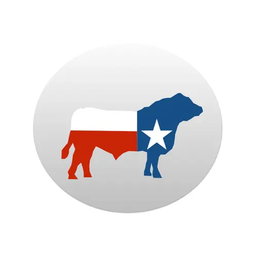 KJ5LMM profile image