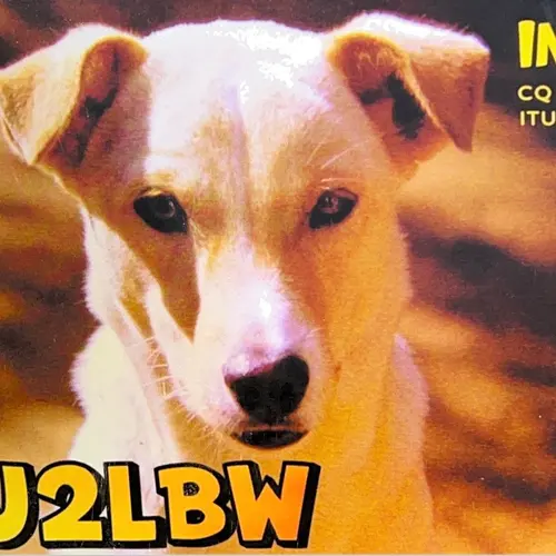 VU2LBW profile image