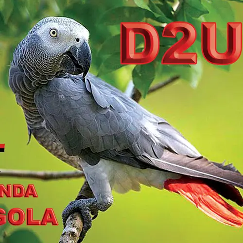 D2UY