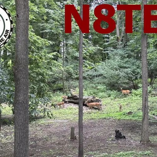 N8TEN profile image