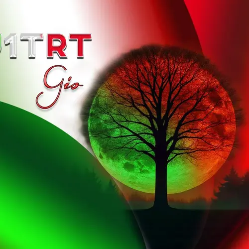 IU1TRT profile image