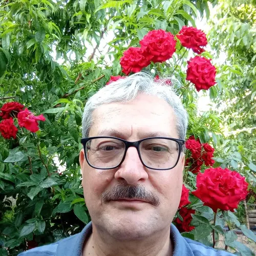 TA3EYO profile image
