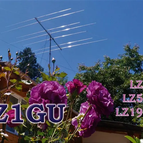 LZ6E profile image