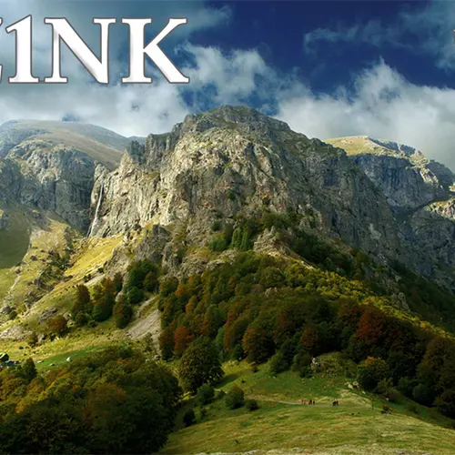 LZ1NK profile image