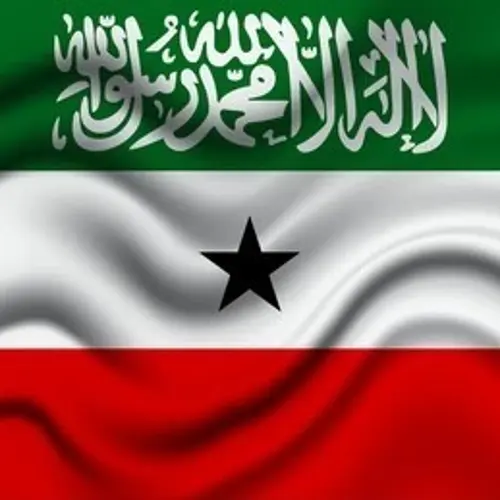 6O3T