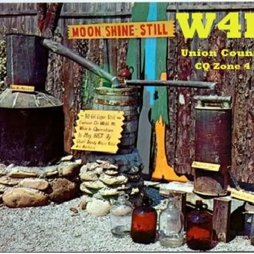 W4DJF profile image