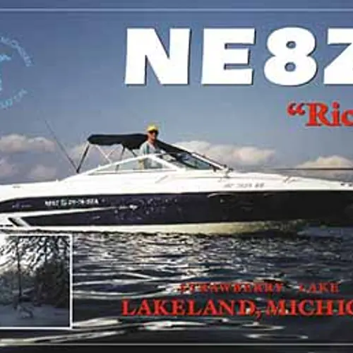 NE8Z profile image