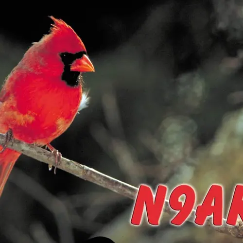 N9AKR profile image