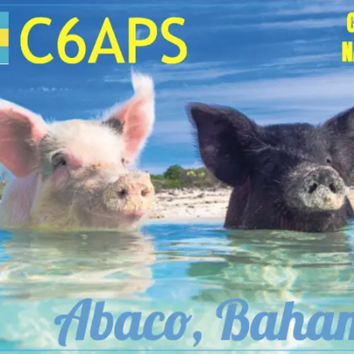 C6APS