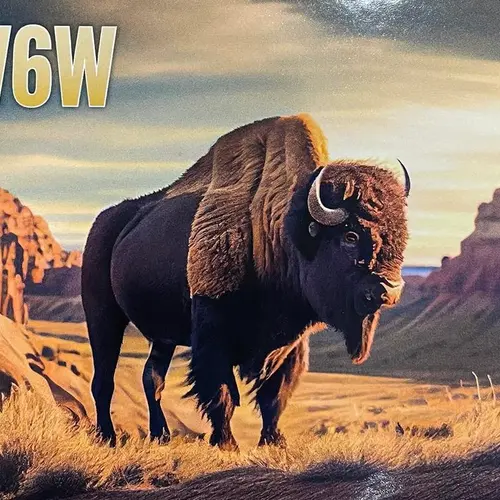 WW6W profile image