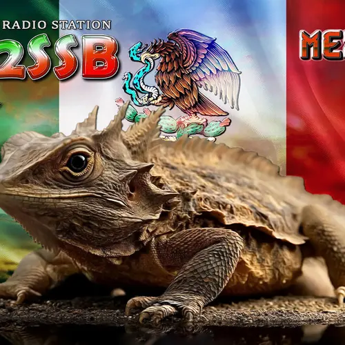 XE2SSB profile image