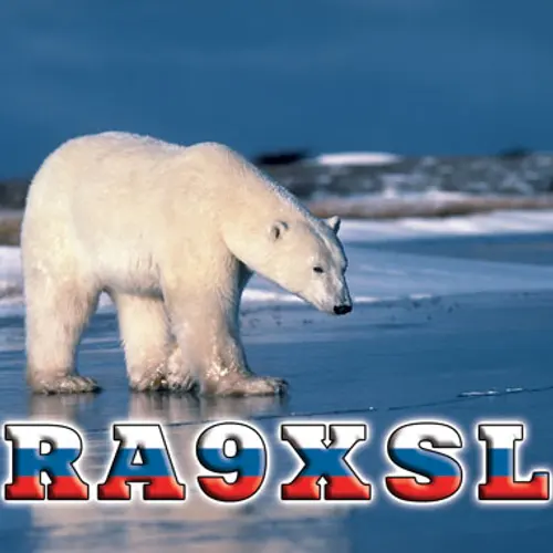 RA9XSL profile image