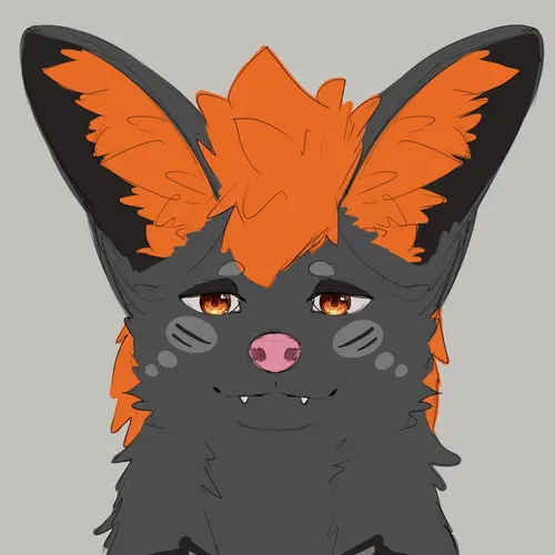 SN5WLF profile image