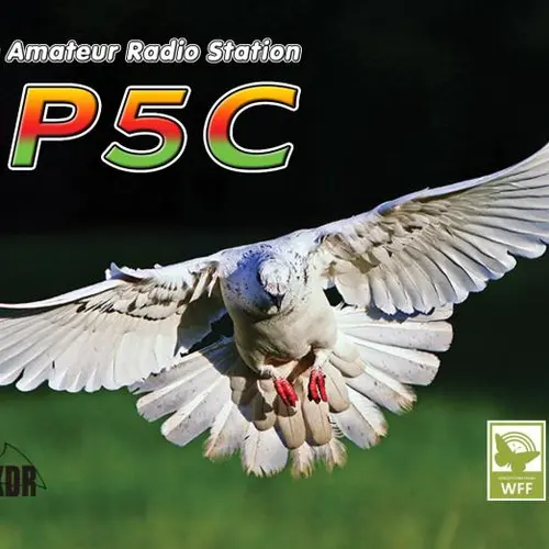 SP5C profile image