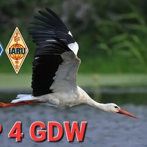 SP4GDW profile image