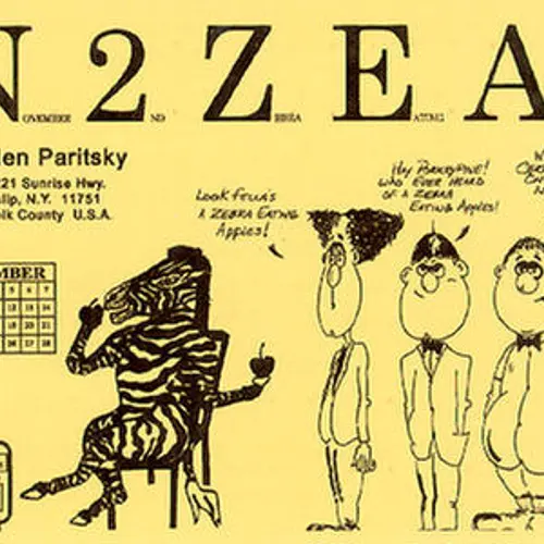 N2ZEA profile image