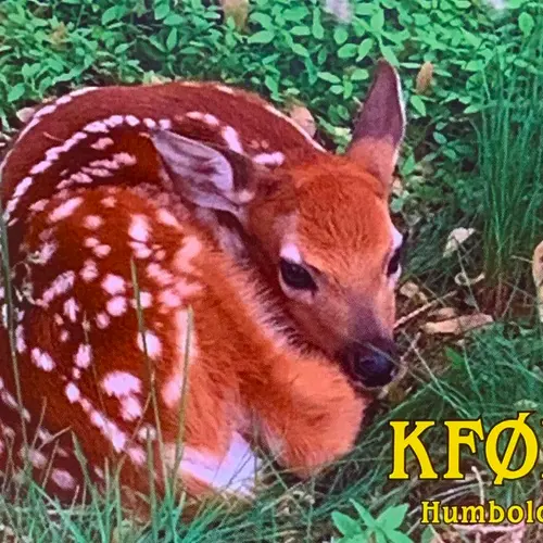 KF0LRL