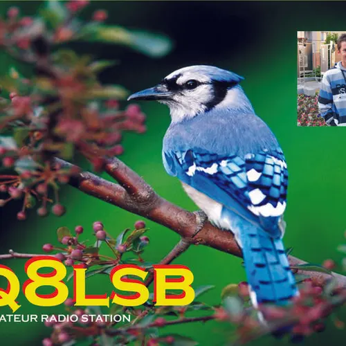 SQ8LSB profile image