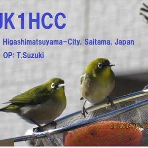 JK1HCC profile image