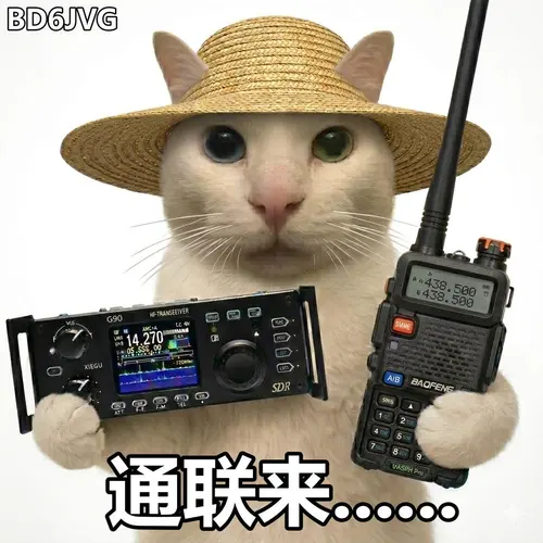 BD6JVG