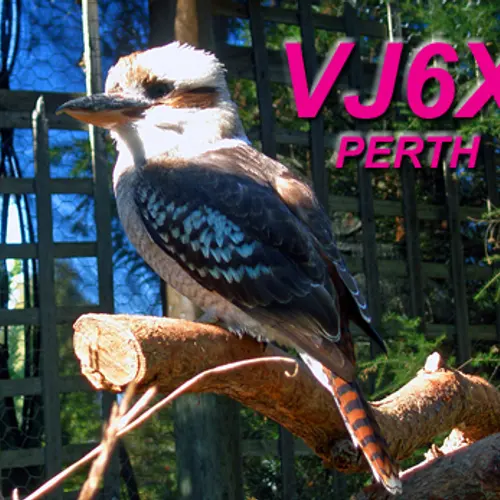 VJ6X profile image