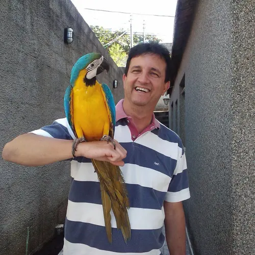PY4AML profile image