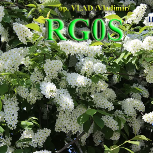 RG0S profile image