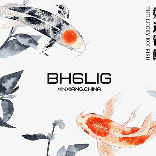 BH6LIG