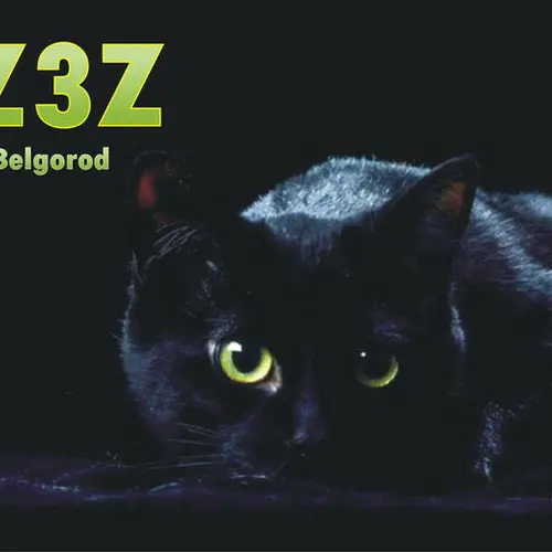RZ3Z profile image