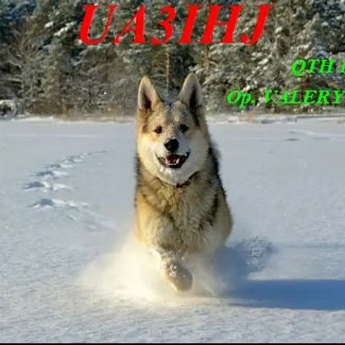UA3IHJ profile image