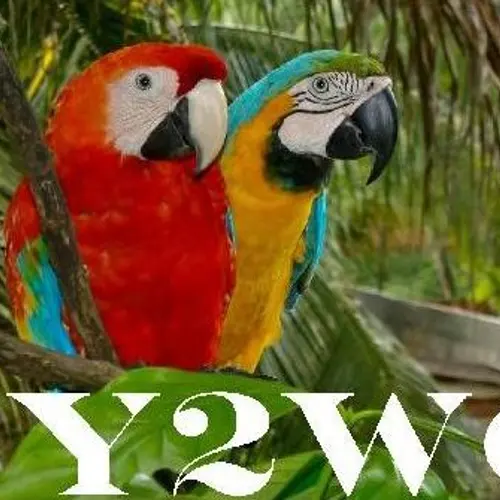 PY2WC profile image