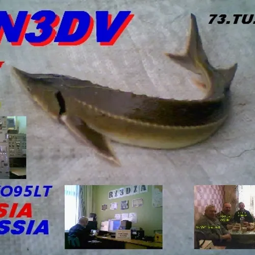 RN3DV profile image