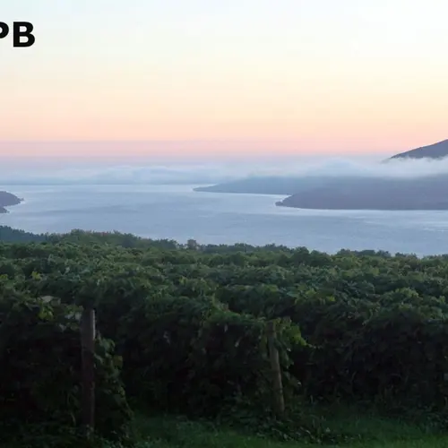 W2DPB profile image