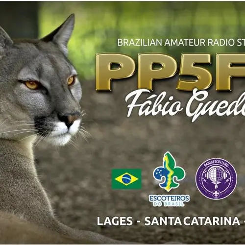 PP5FZ profile image