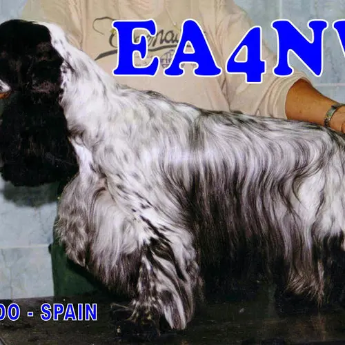 EA4NW