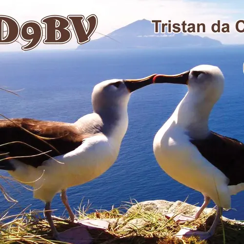 ZD9BV profile image