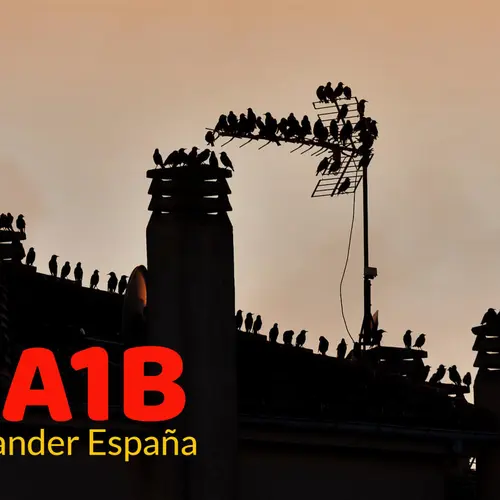 EA1B profile image
