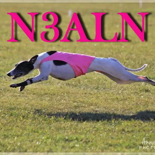 N3ALN profile image