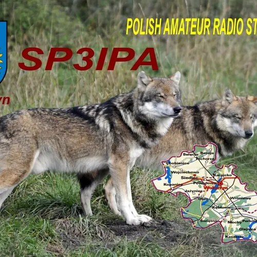 SP3IPA profile image