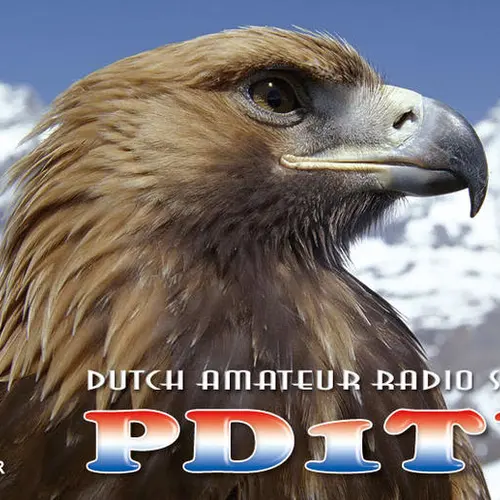 PD1TV profile image