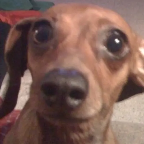 N4LOV profile image