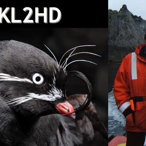 KL2HD profile image