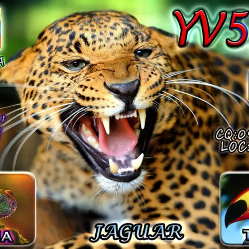 YV5PM profile image
