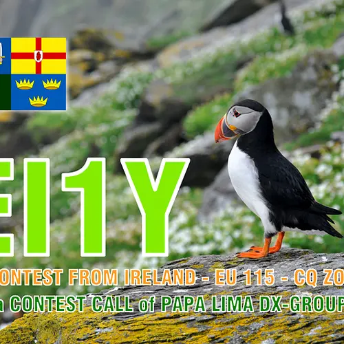 EI1Y profile image