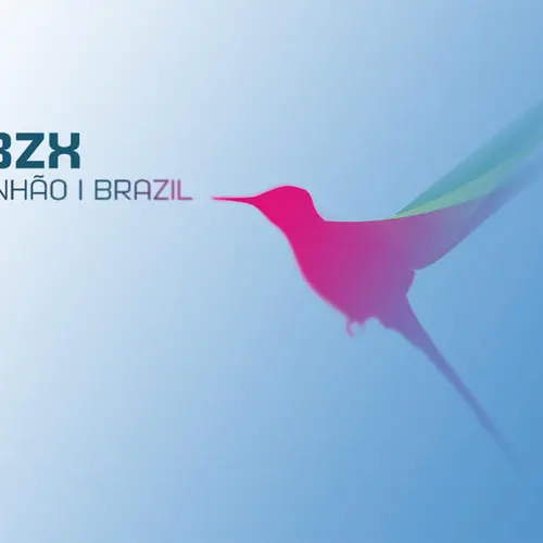PR8ZX profile image