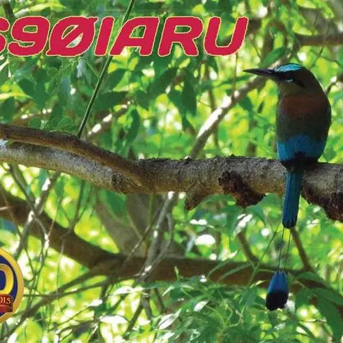 YS90IARU profile image