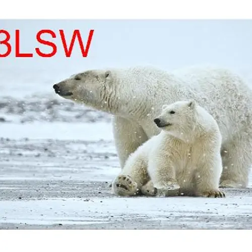 W3LSW profile image