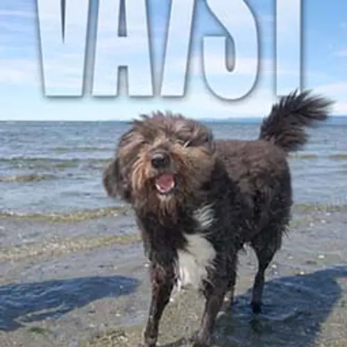 VA7ST profile image