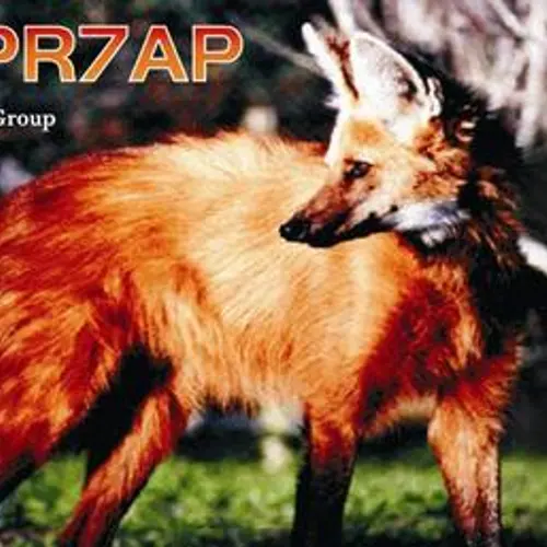 PR7AP profile image